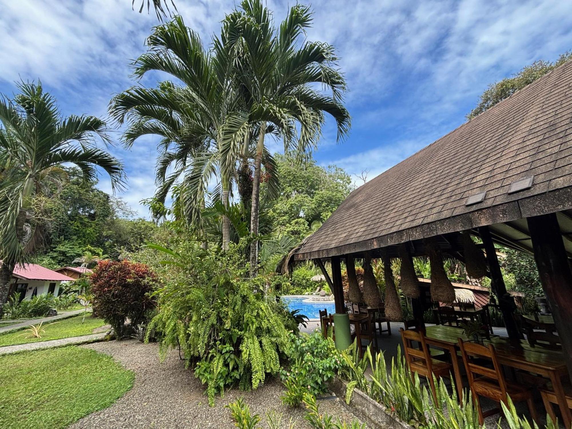 Hotel Suizo Loco Lodge & Resort 卡维塔 外观 照片