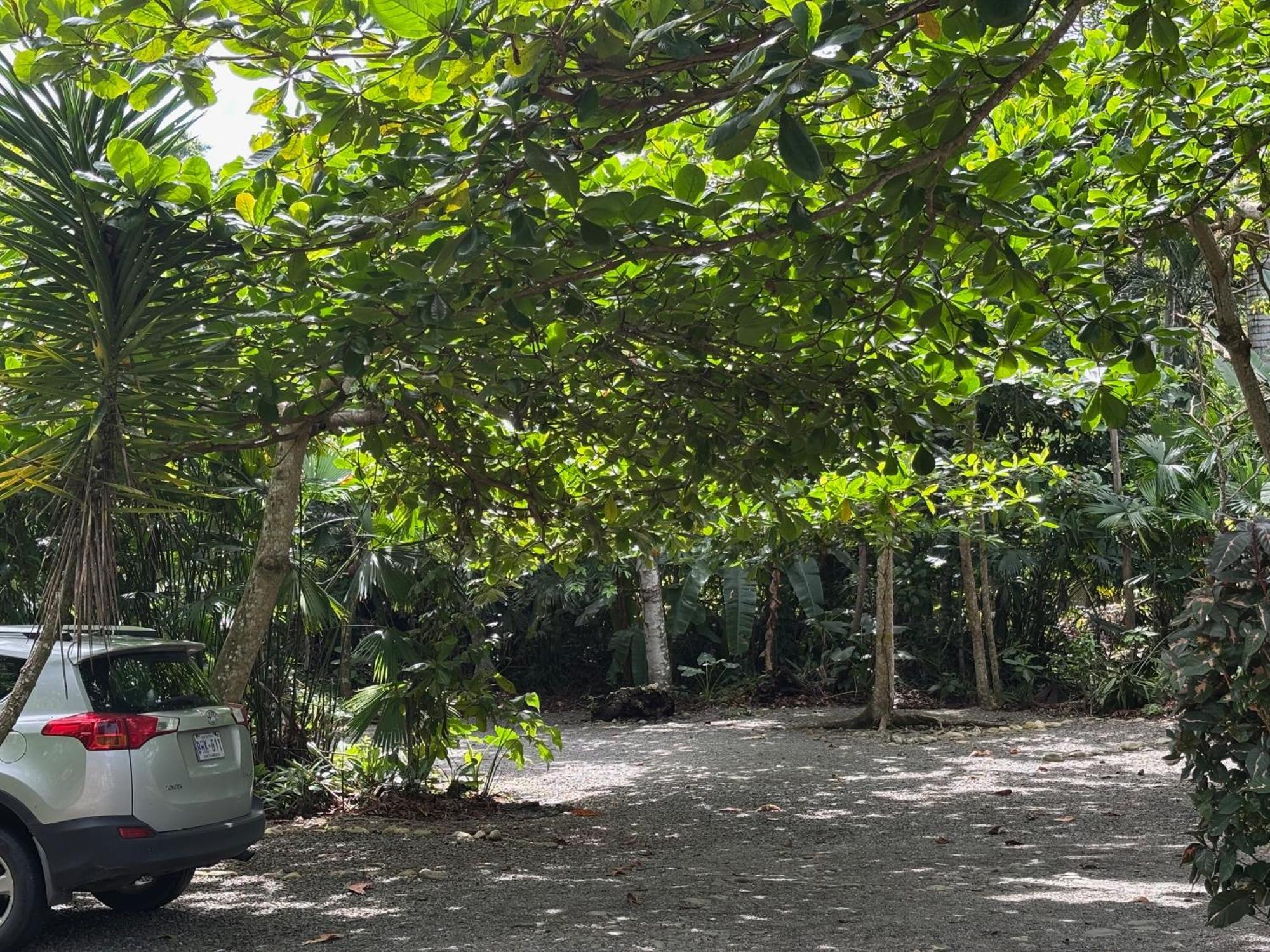 Hotel Suizo Loco Lodge & Resort 卡维塔 外观 照片