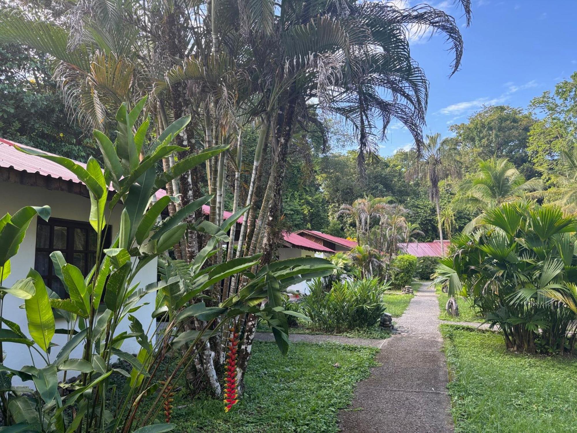 Hotel Suizo Loco Lodge & Resort 卡维塔 外观 照片