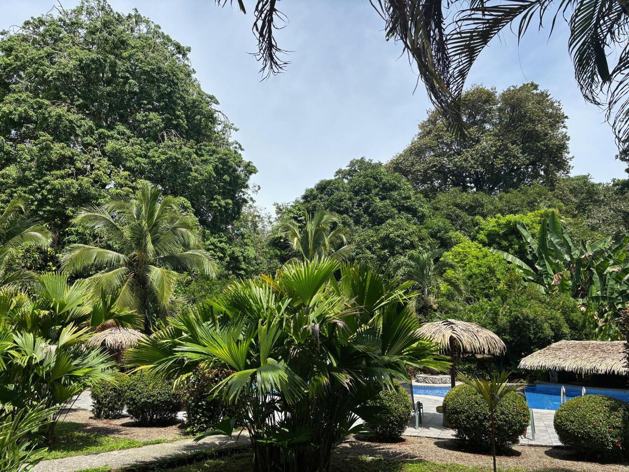Hotel Suizo Loco Lodge & Resort 卡维塔 外观 照片