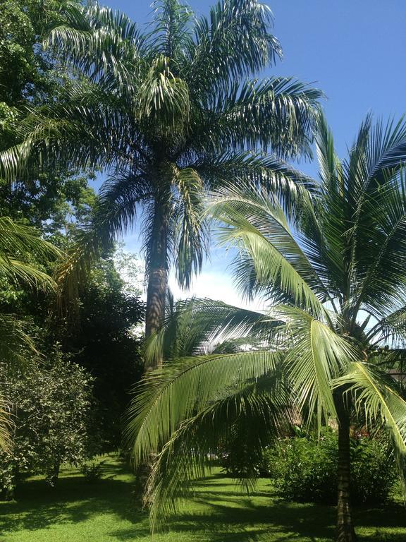 Hotel Suizo Loco Lodge & Resort 卡维塔 客房 照片